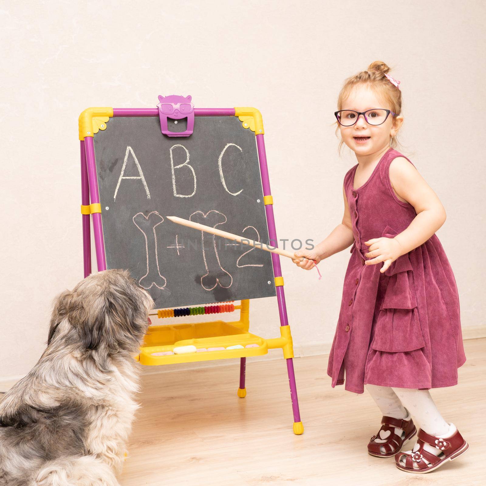 little girl teacher plays with her dog in school and shows her English letters . The dog sits on its hind legs and listens carefully. The girl remembers the letters and smiles