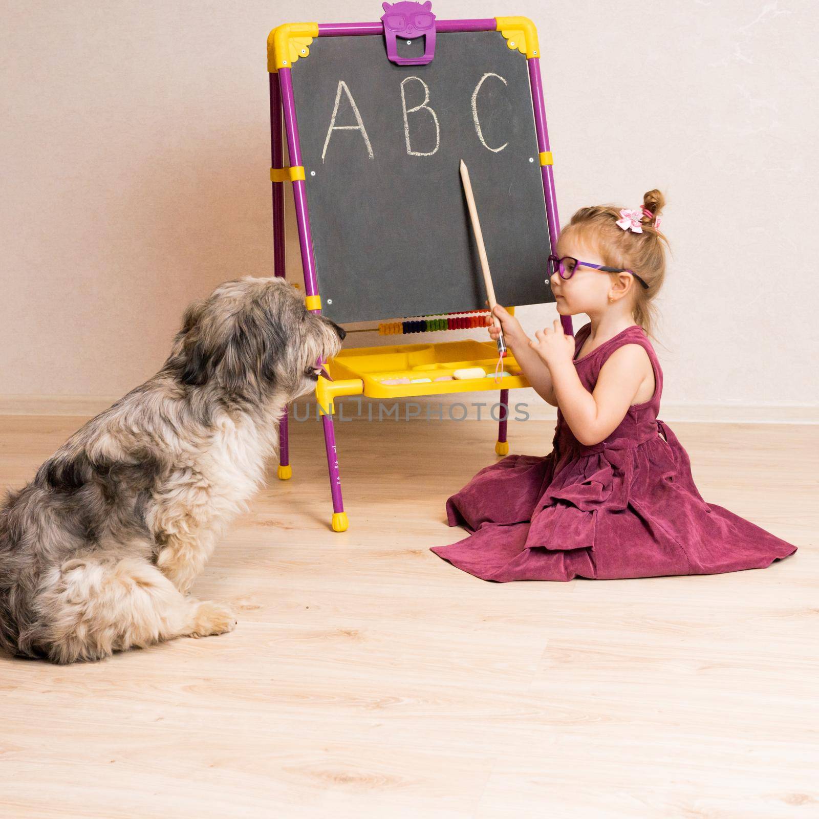 a little girl teacher in a dress and glasses sits on the floor near the blackboard and shows her dog the letters of the English alphabet. by olex