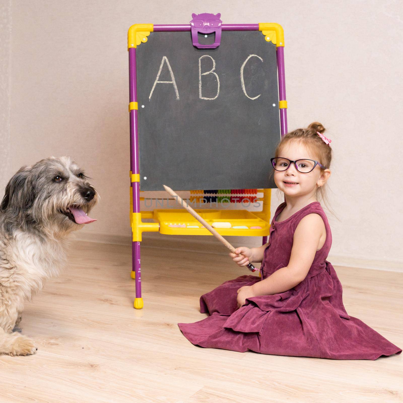 a little girl teacher in a dress and glasses sits on the floor near the blackboard and shows her dog the letters of the English alphabet. by olex