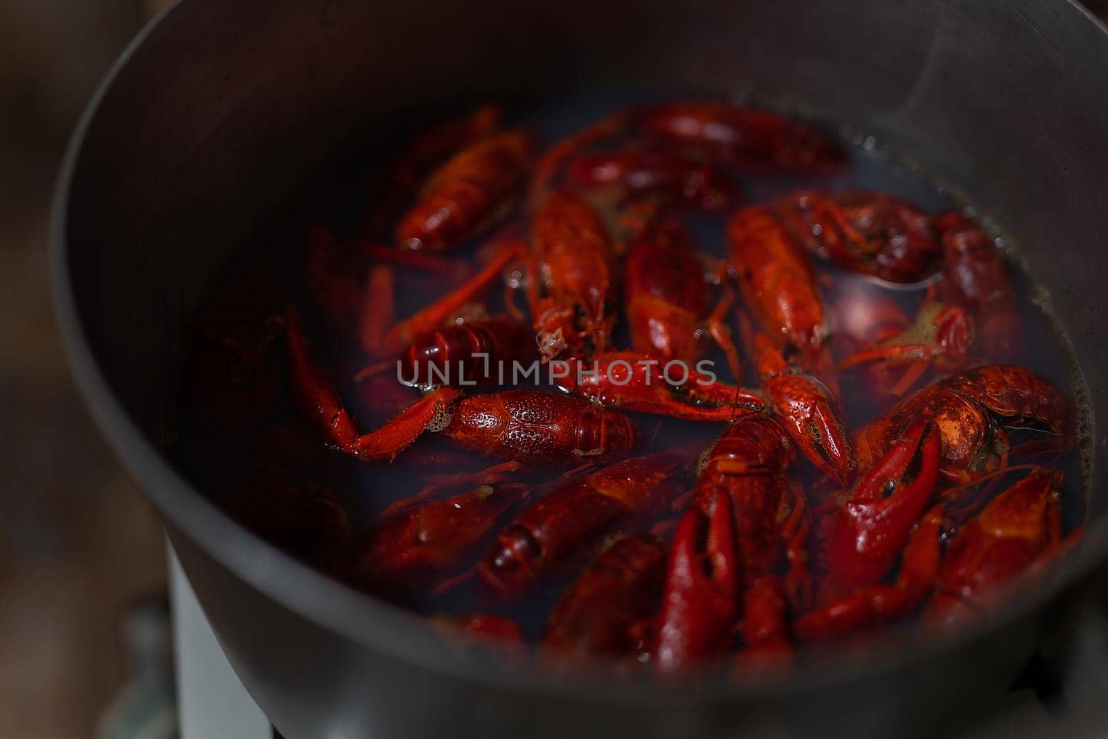 Red fresh appetizing crayfish are boiled in a saucepan. Crayfish for beer