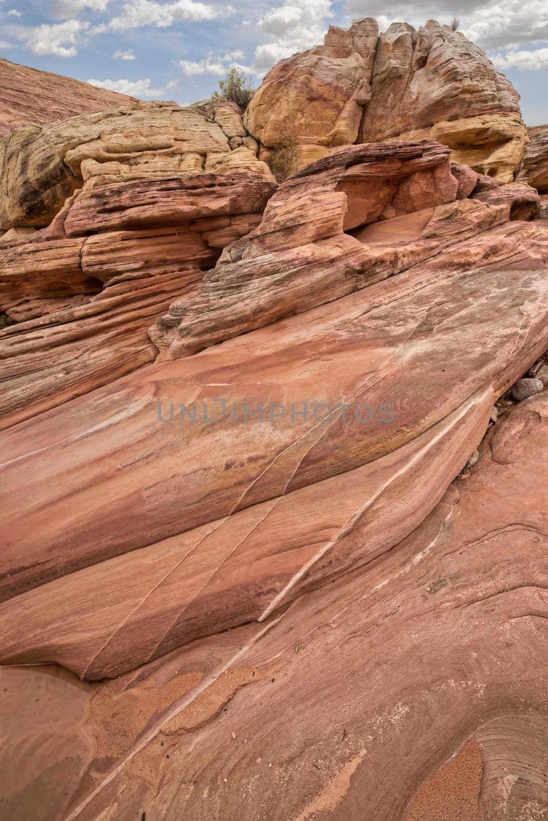 Valley of Fire red rock by lisaldw