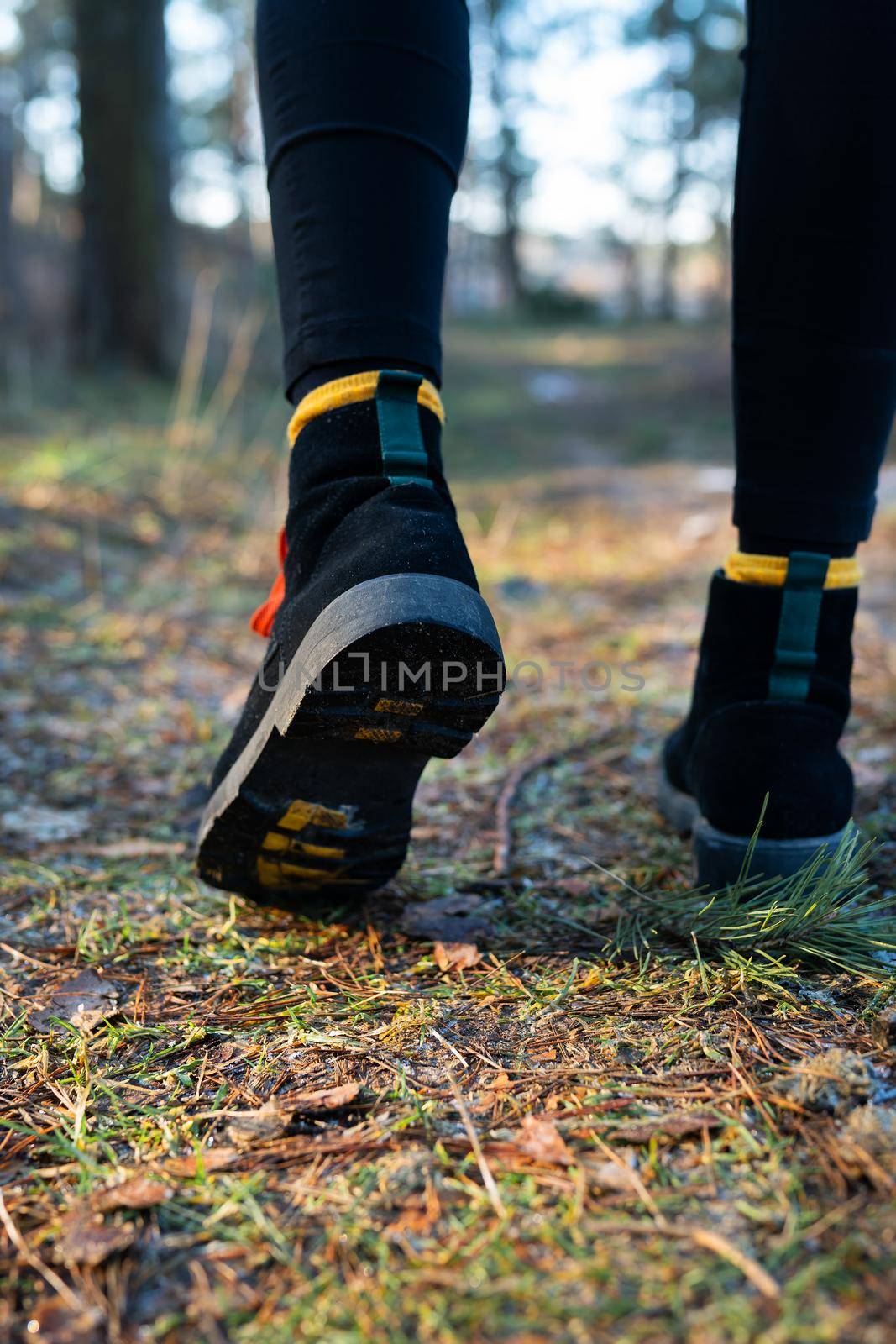 The girl walks through the forest, close-up of shoes against the background of the forest. Travel, trekking and hiking concept
