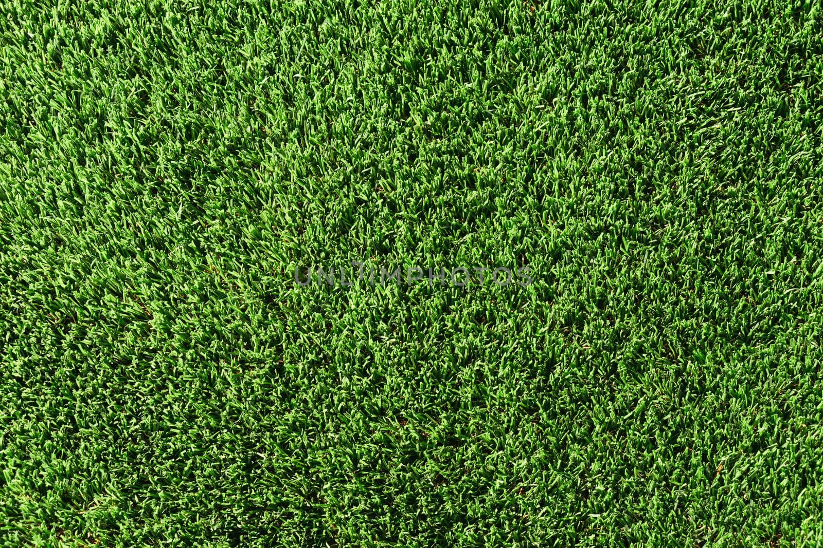 Texture green grass. Background of green turf grass. Texture coating of a football field. Green lawn by CatPhotography