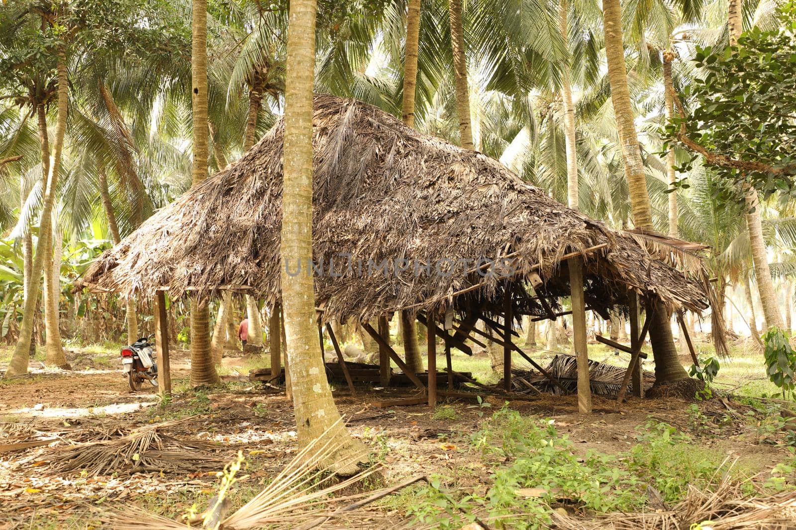 Rural Village area India