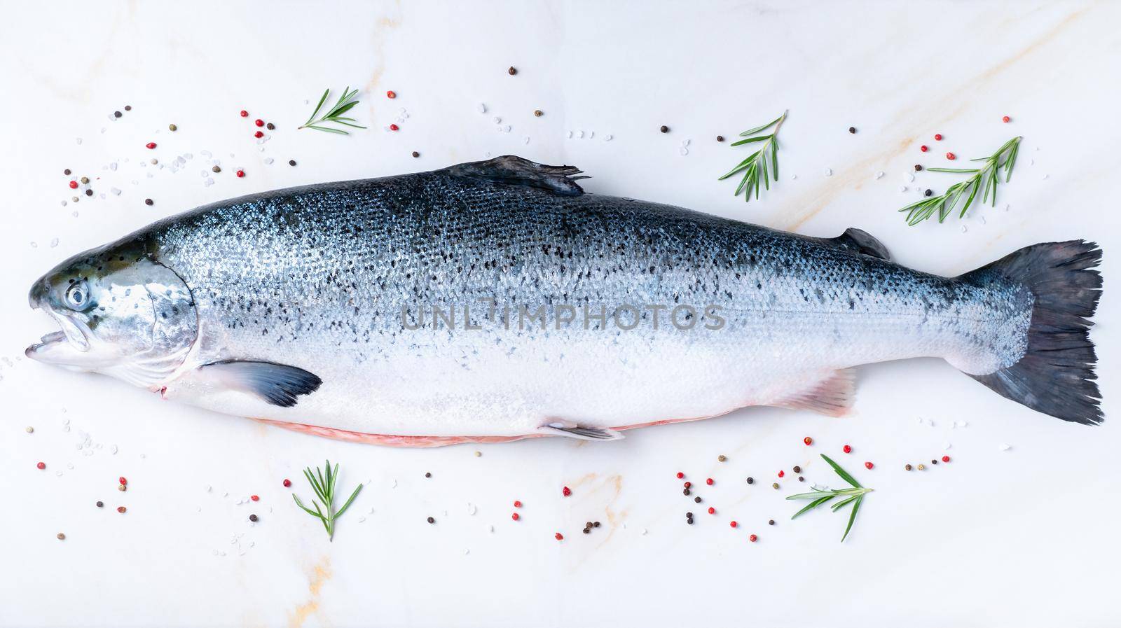 whole fresh raw big salmon fish with seasoning, salt, pepper, rosemary on white marble table, top view.