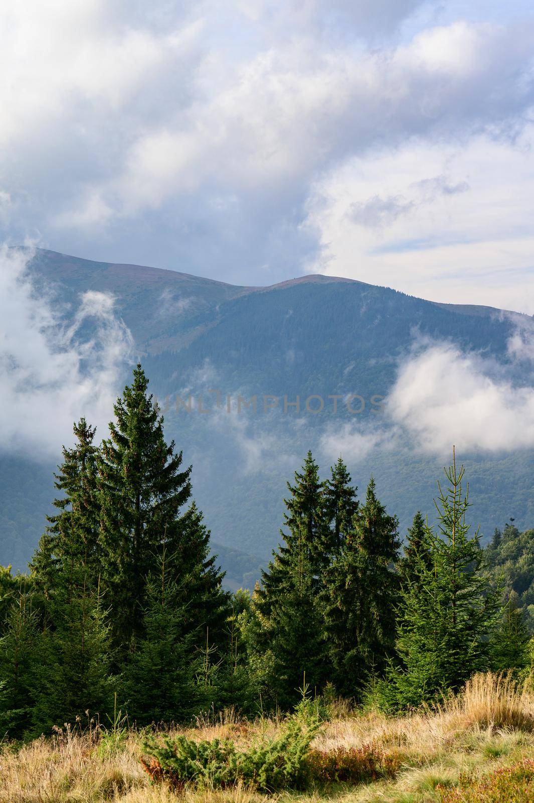 Landscapes of the Ukrainian Carpathians, a trip to the ridges of the mountains in Ukraine. by Niko_Cingaryuk