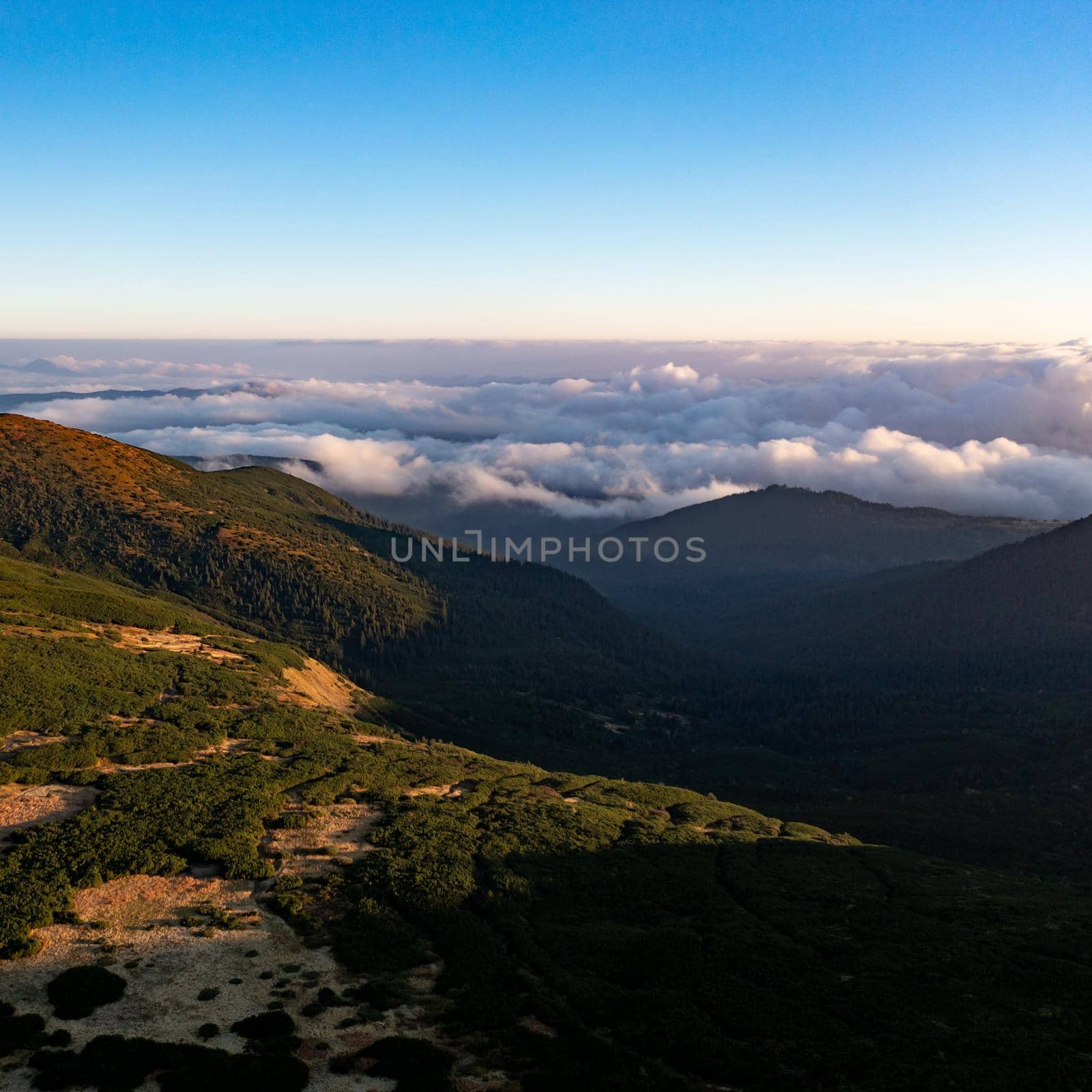 Photo of the Carpathians from a bird's eye view, drone flying over the mountains. by Niko_Cingaryuk