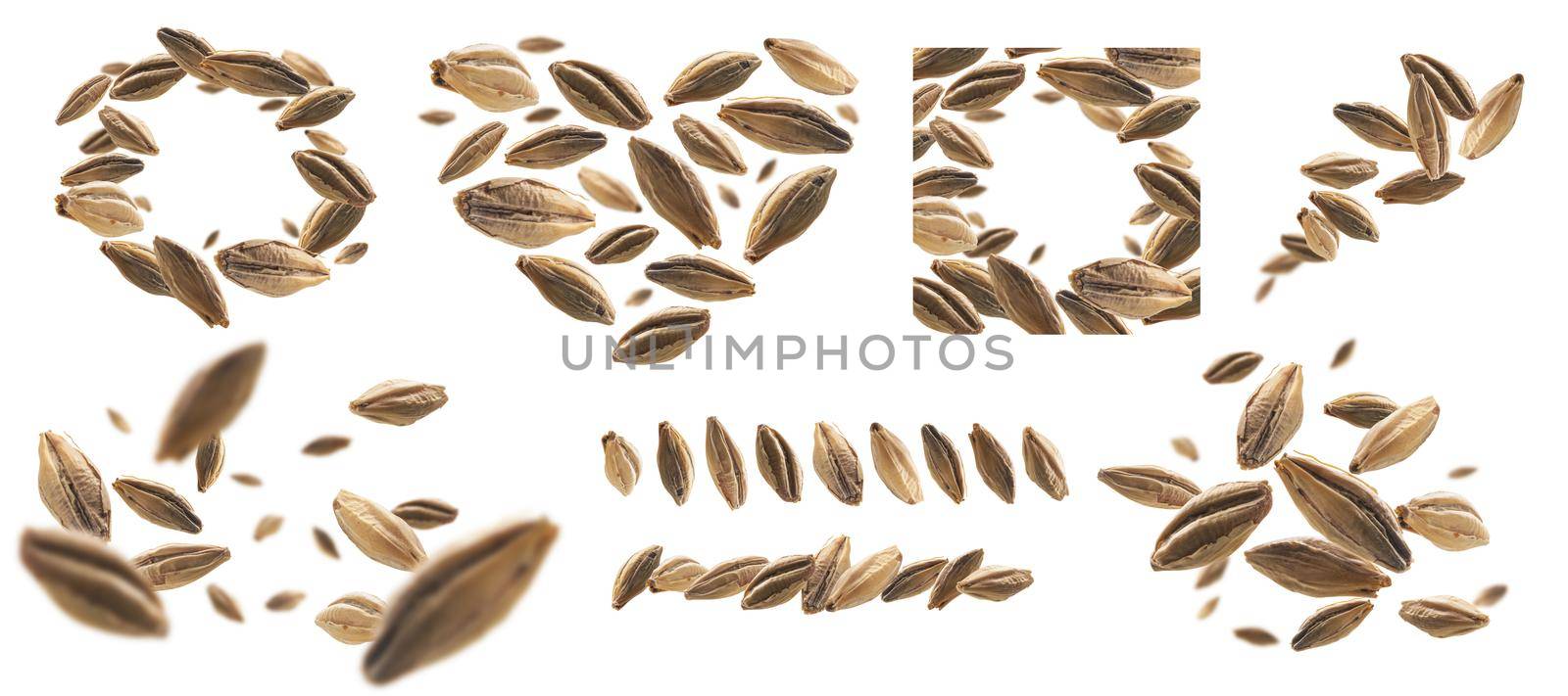 A set of photos. Barley malt grains levitate on a white background.