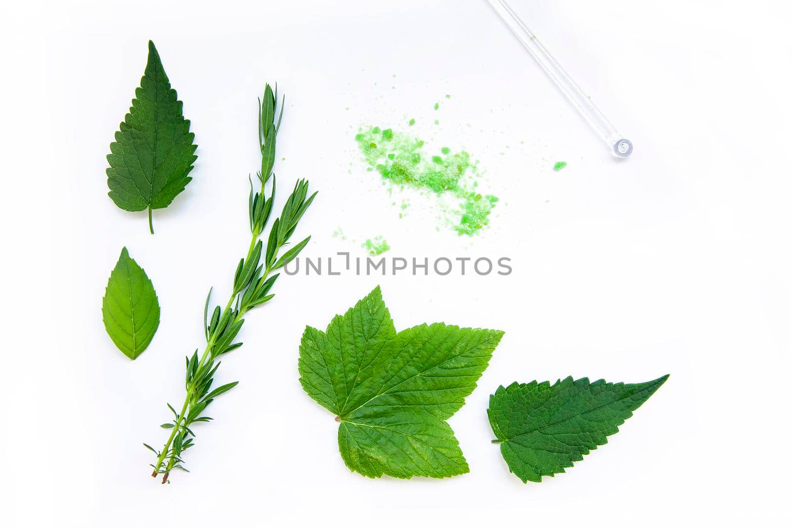 Tea Herbs Still life Flatlay on White Background by kisika