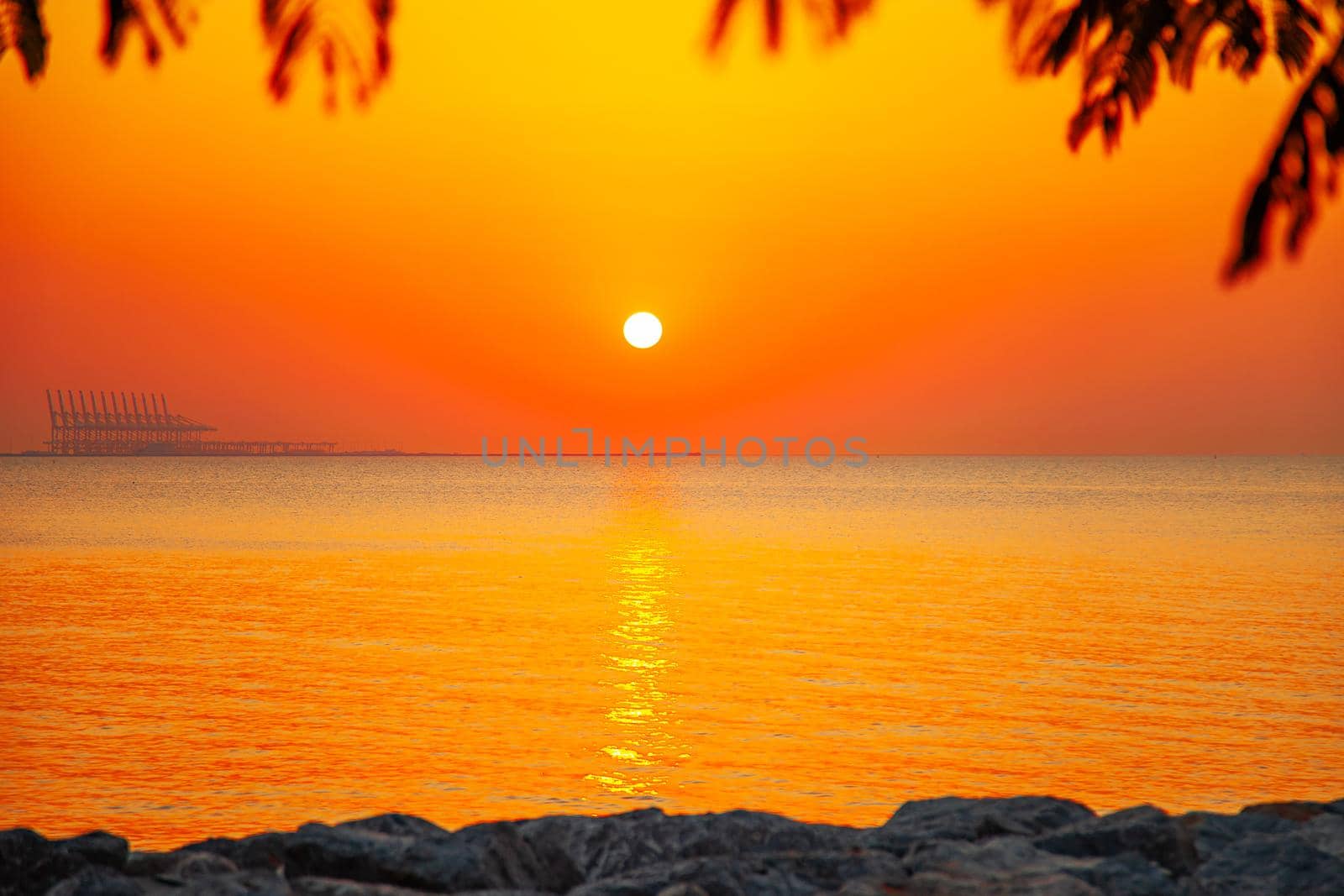 Beautiful view of sun, water and leaves silhouettes