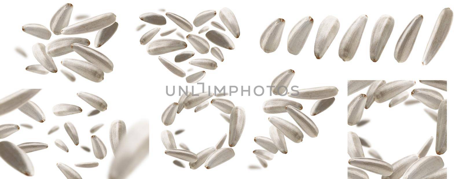 A set of photos. White sunflower seeds levitate on a white background.