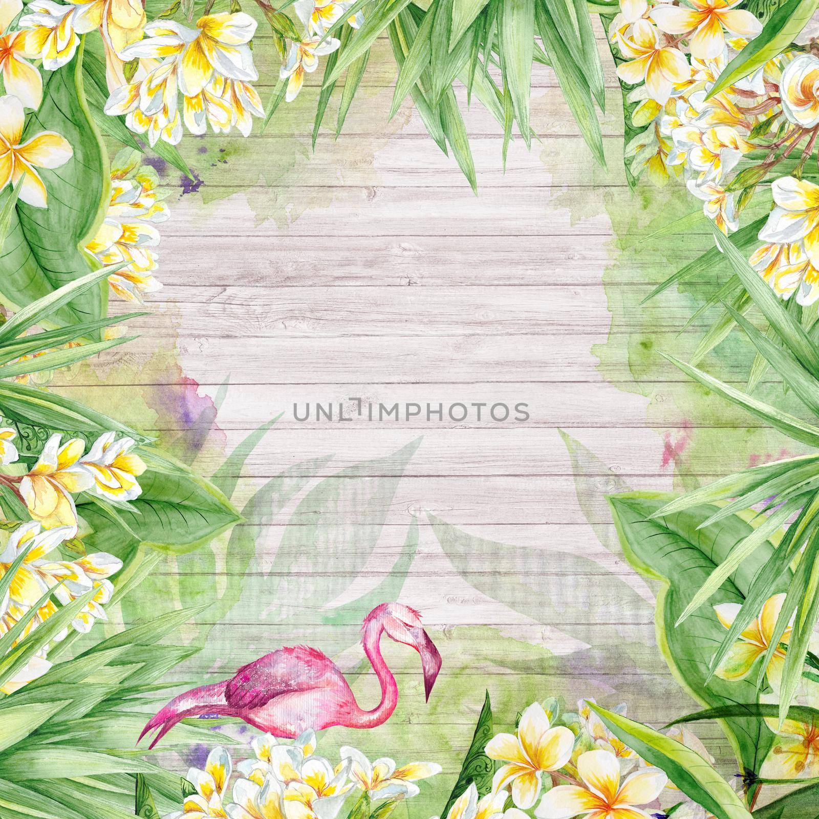 Plants botanic frame with plumeria flowers and yucca tree