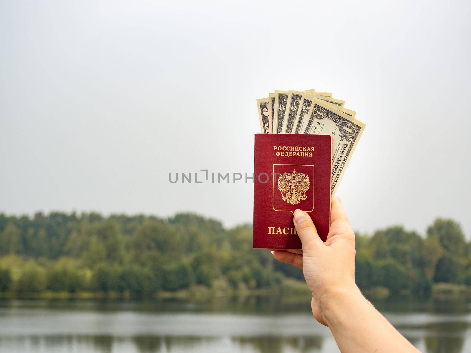 A foreign passport and dollars in your hand, against the background of nature. Filmed outdoors.