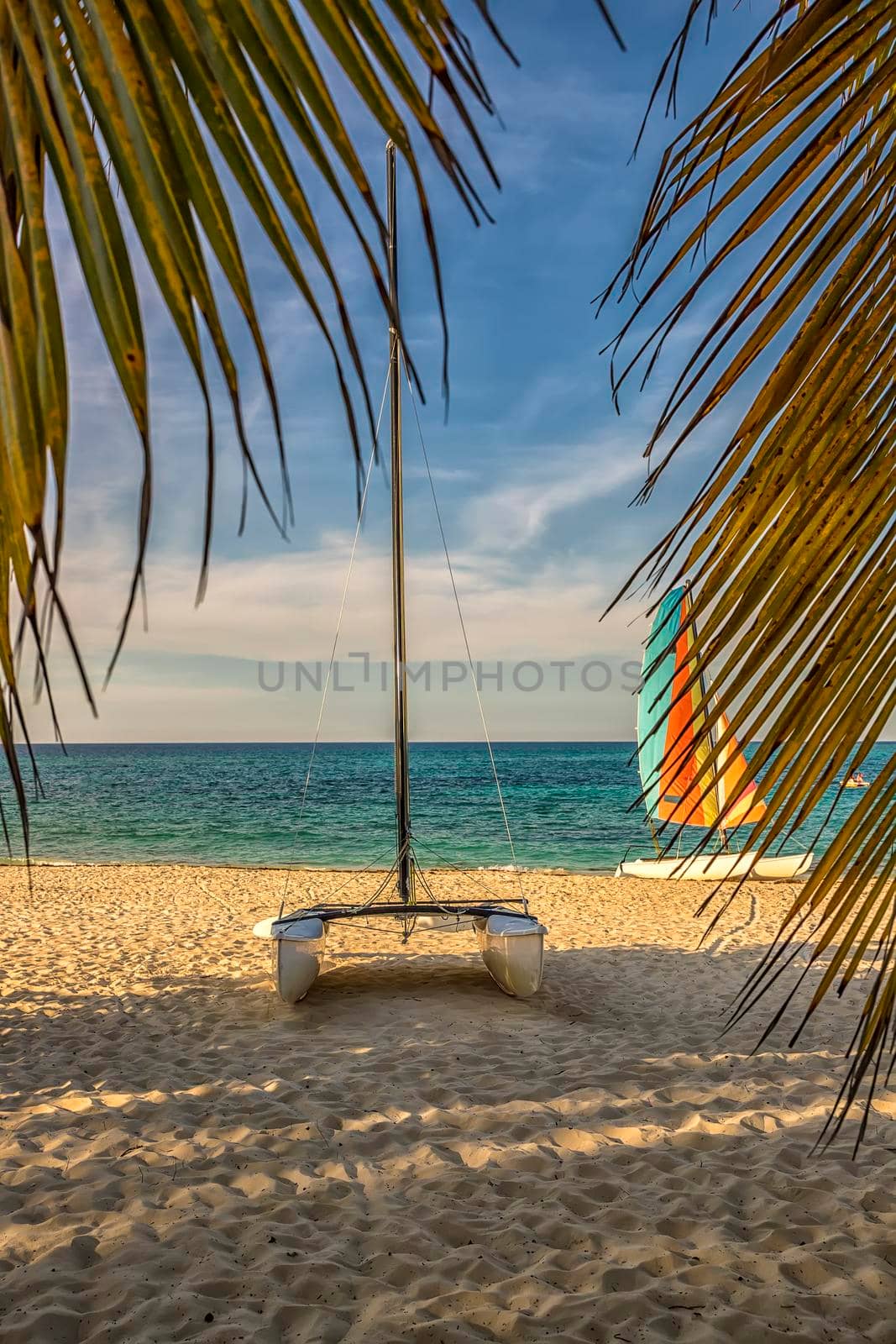 Colorful sail catamarans on the beach. The tropical resort area with the most beautiful beaches. 