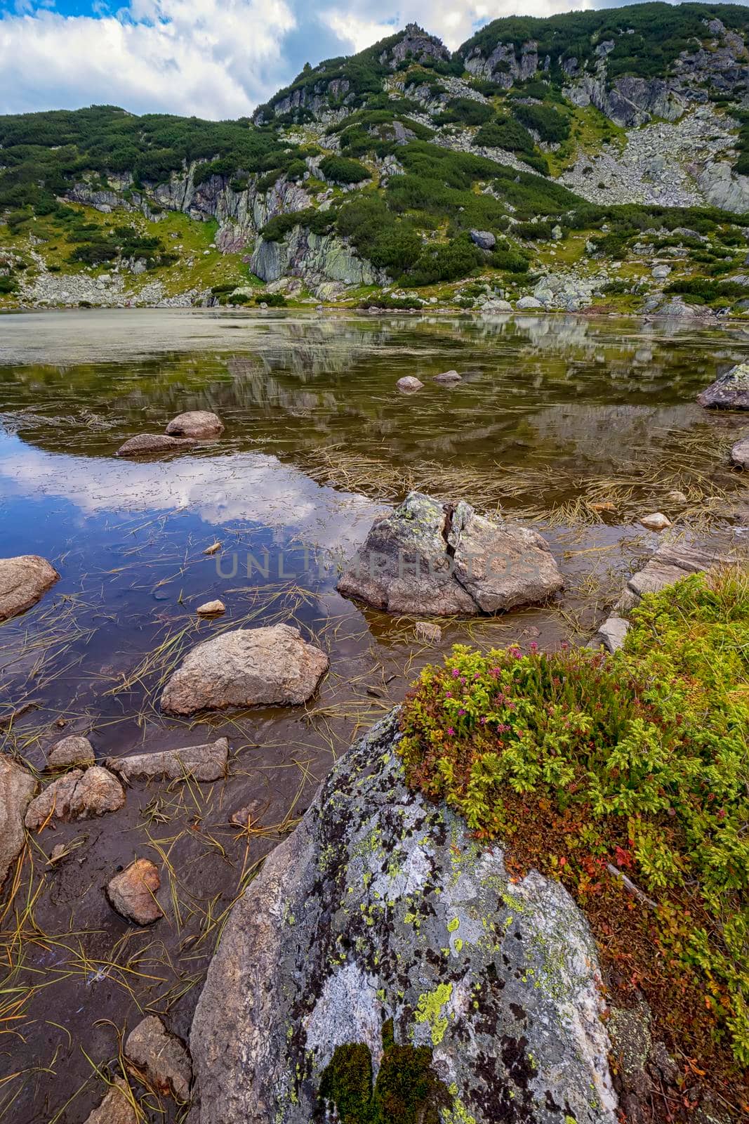 a rough mountain landscape with flowers, a lake and a rocks.Vertical view