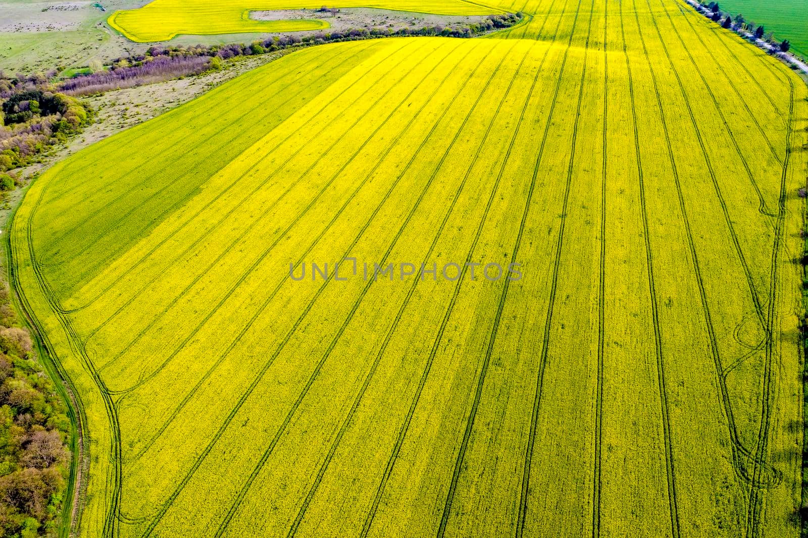 Aerial shot of field with a tractor traces on the agricultural field sowing. Rapeseed field