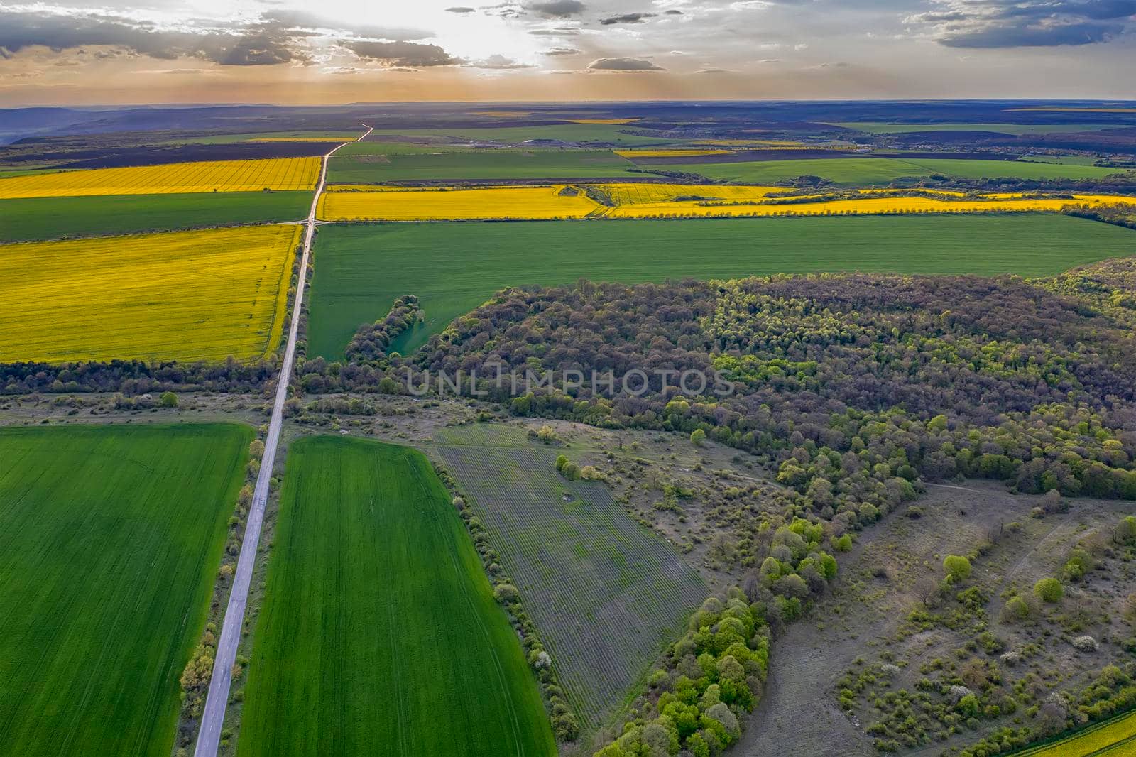 Panoramic aerial view of fields and road. Birds-eye view of the land with fields, meadows and forest