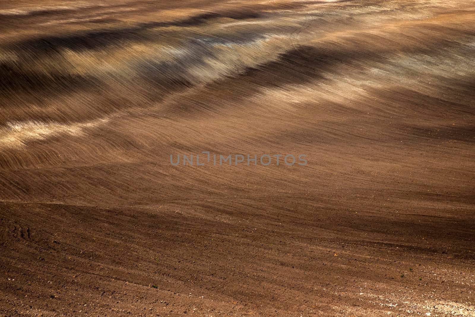 amazing landscape of a clean plowed field 