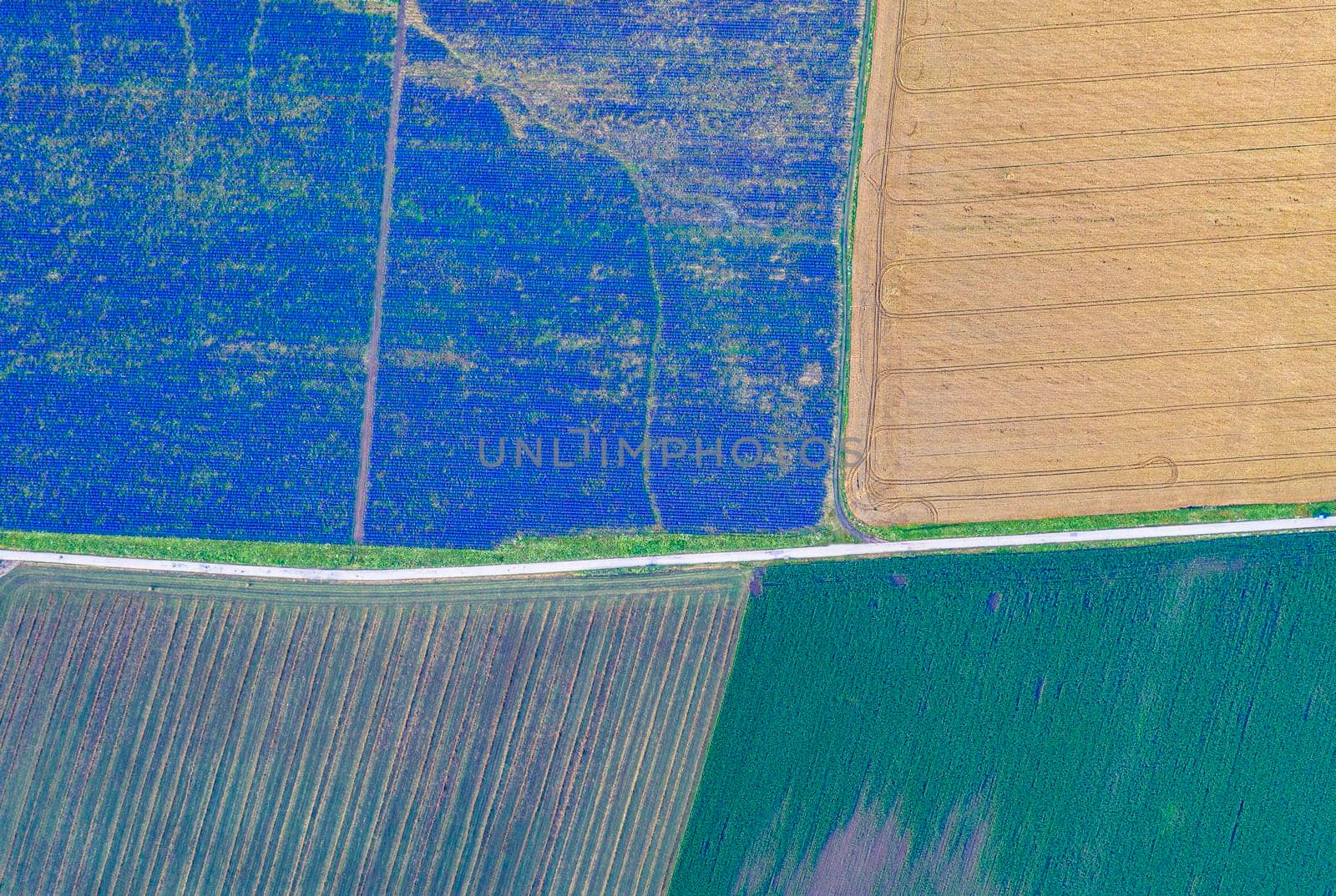 Aerial view from drone to different fields, lavender, wheat and other. Top view