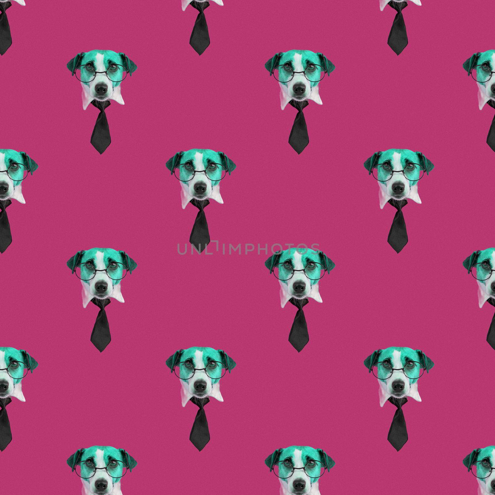 Muzzle of a Jack Russell Terrier dog with glasses and a tie on a pink background. Isolate. Seamless pattern