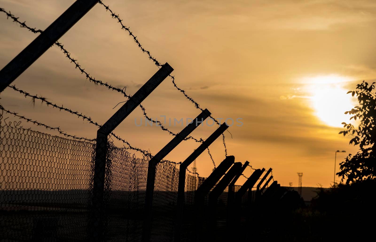 Silhouette of barbed wire fence at sunset