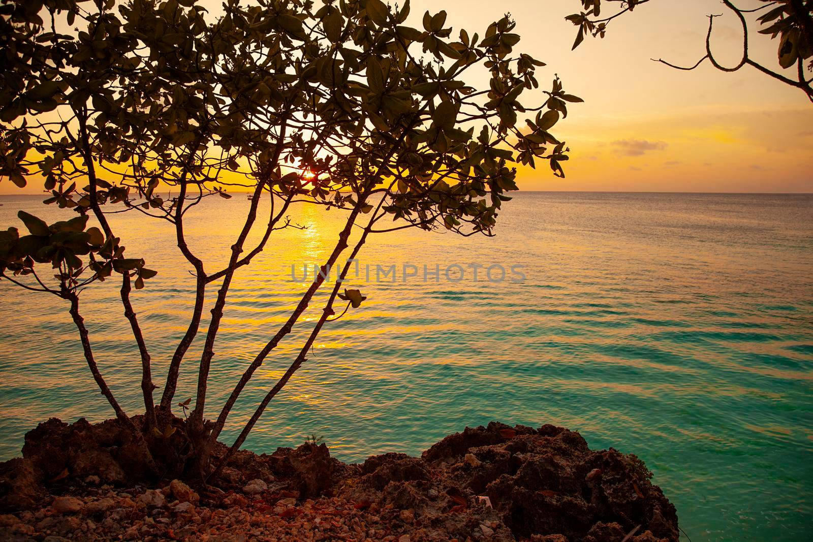 Tropical orange sunset with tree silhouettes and sea by kisika