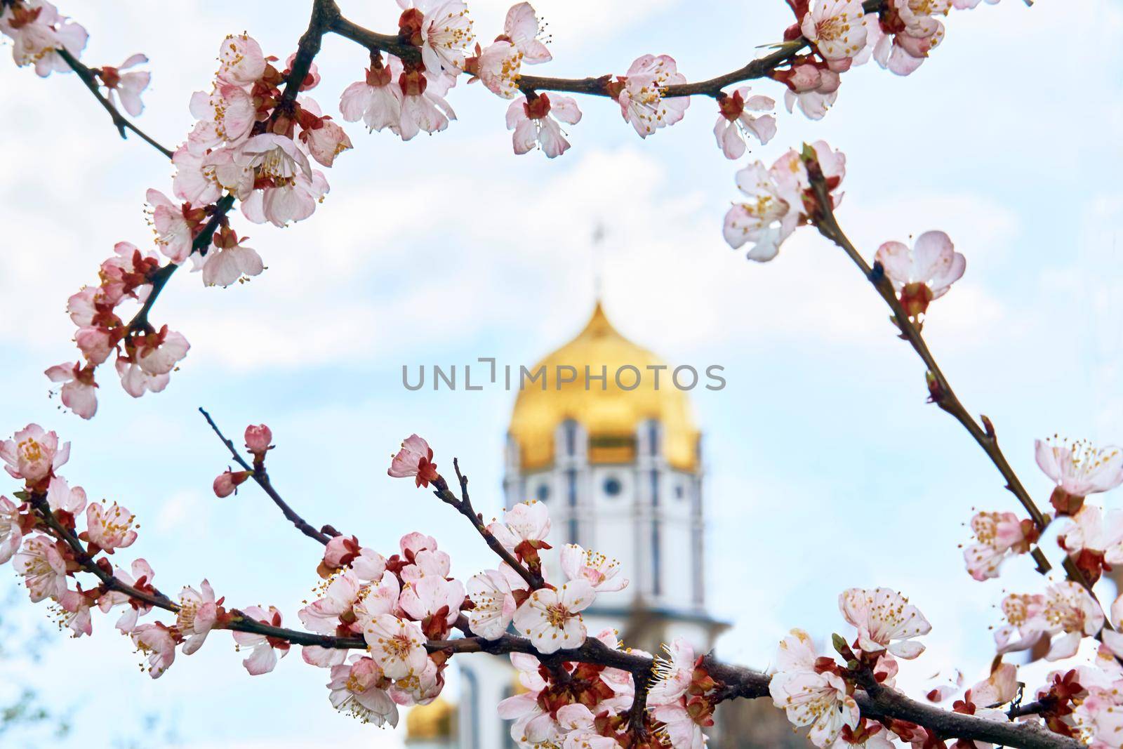 Frame of pink and white flowers and the golden dome of the church, easter sky by jovani68