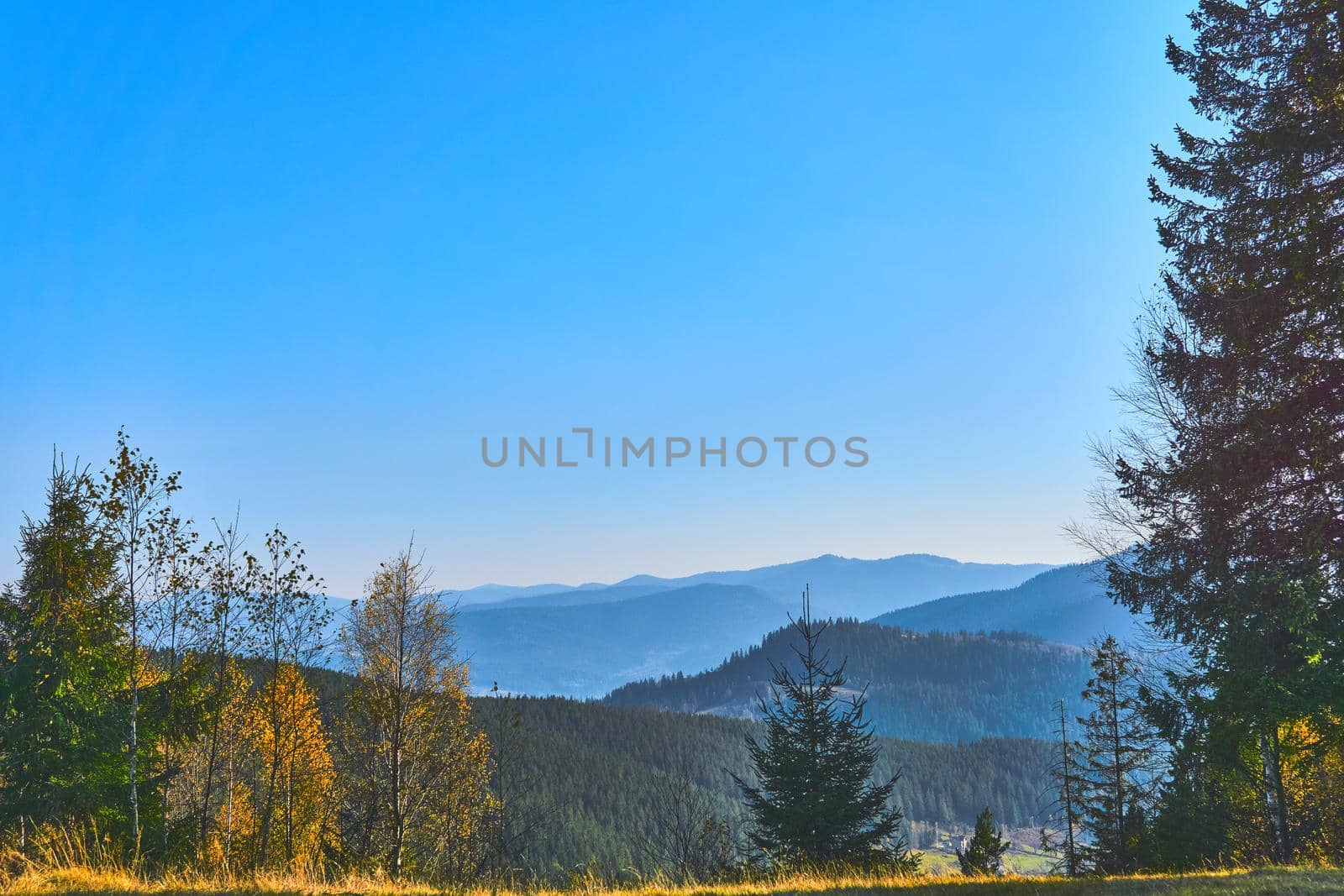 Mountain range in autumn colors and blue sky by jovani68