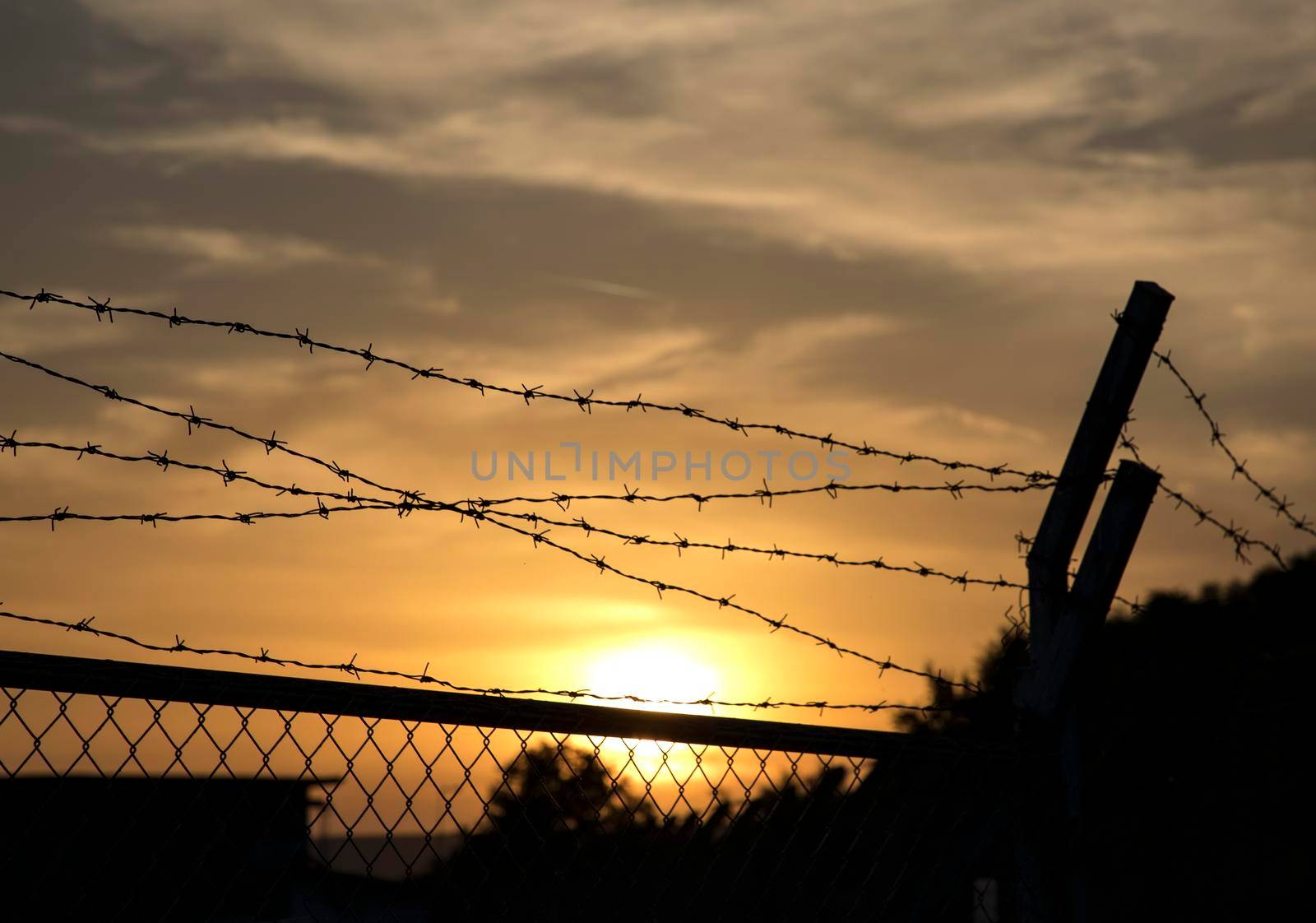 Silhouette of barbed wire fence at sunset