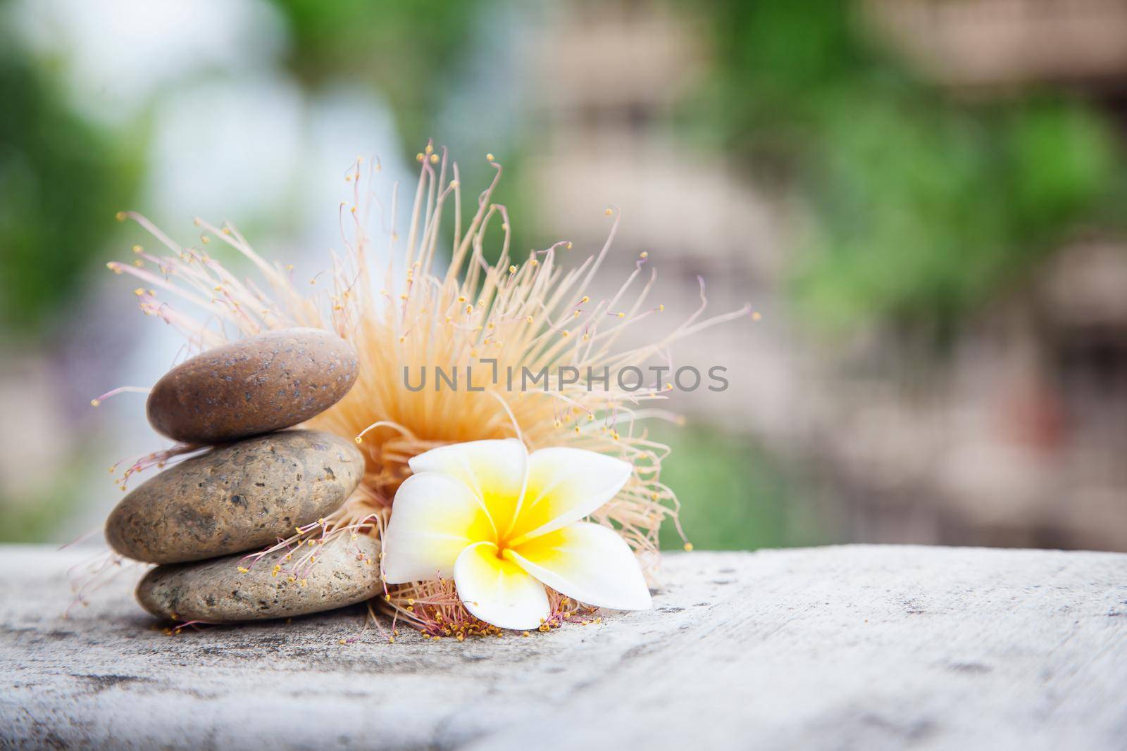 Thai eastern wellness healthy background with stones and flowers