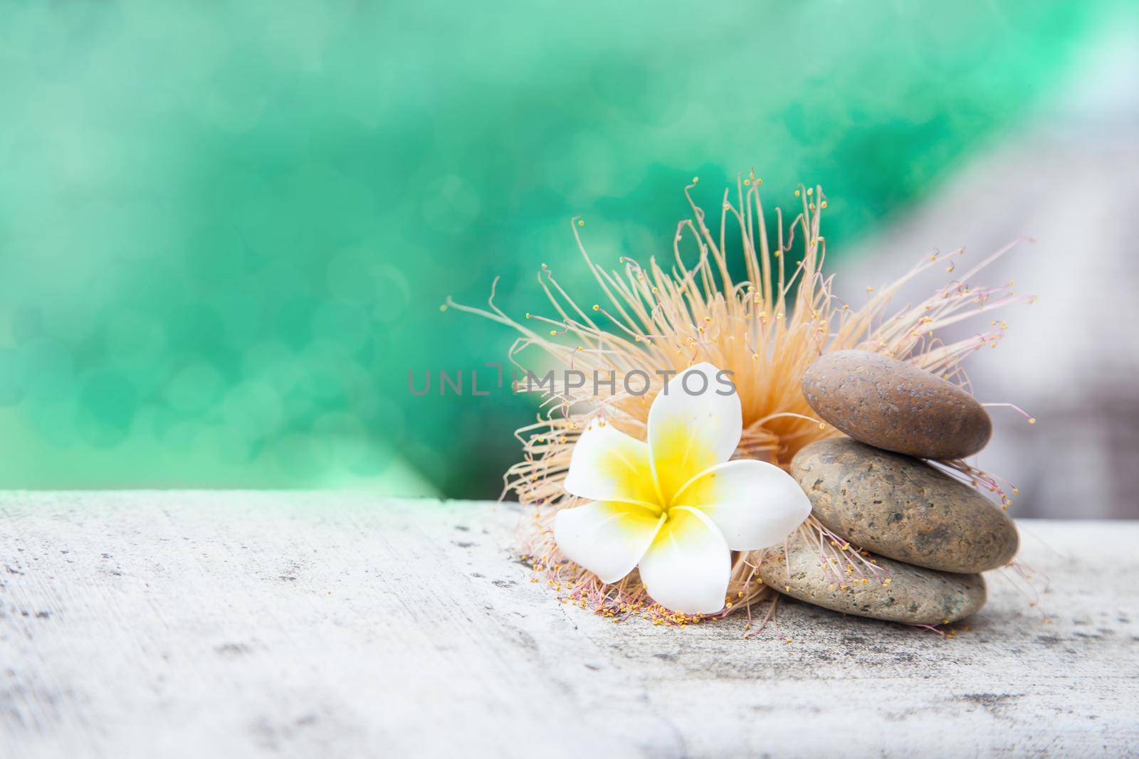 Thai relax beauty still life with stones and frangipany plumeria flower