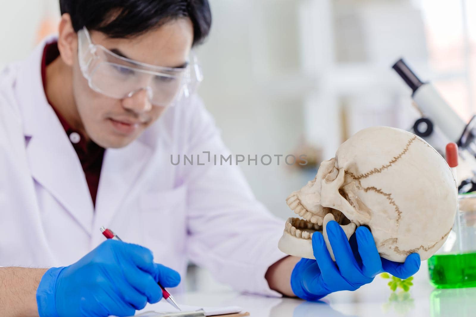 Asian Male working in Physical Scientist and Anthropology in biology science lab research study in human bone and skull.