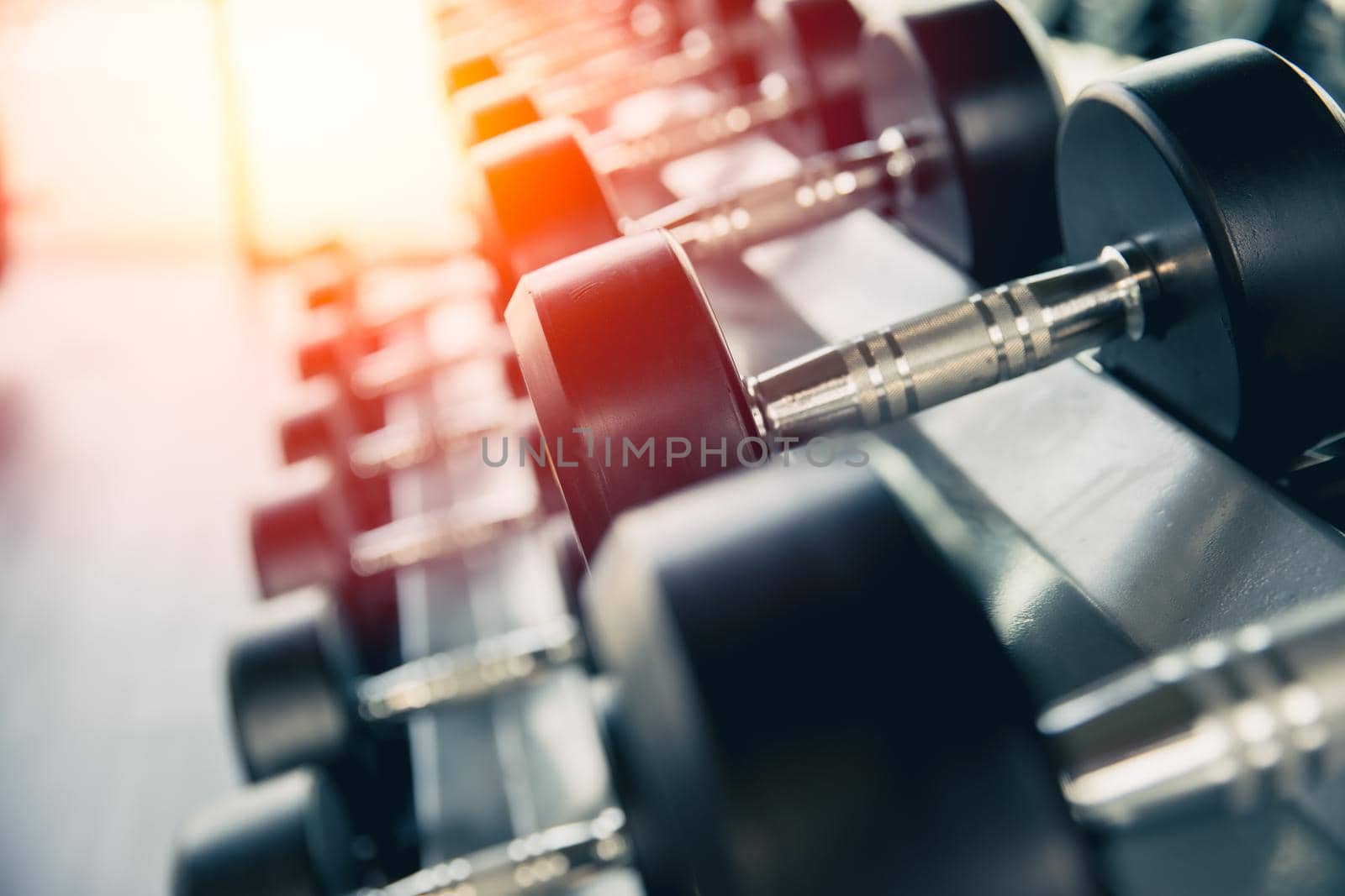 Weight dumbbell for muscle training in gym fitness sport club, closeup shot by qualitystocks