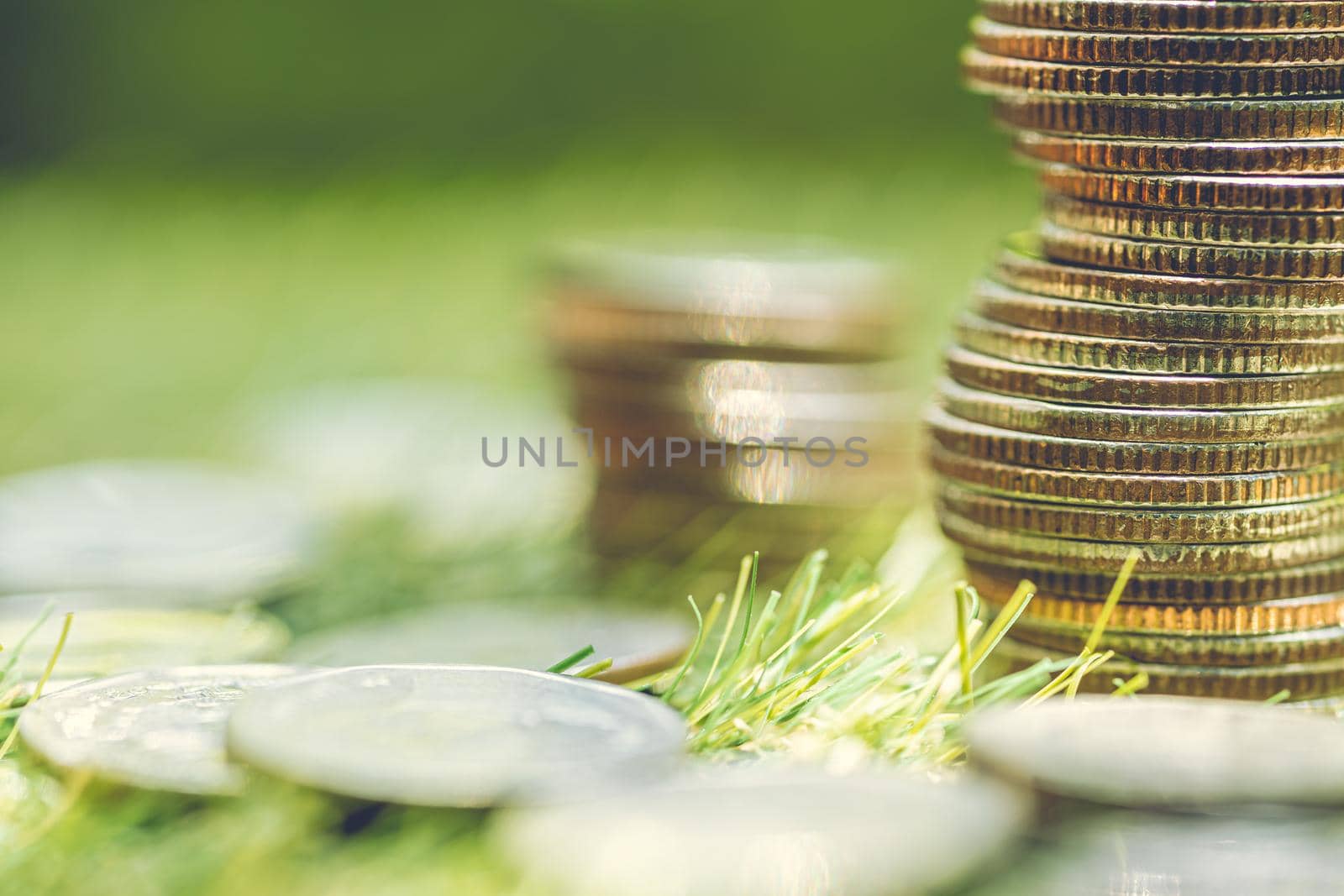 Piles of coins.stacked coin on green grass growing money concept.