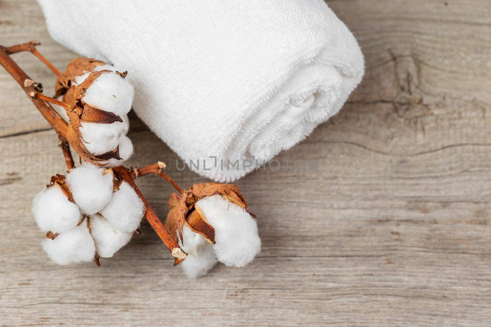 White cotton towel rolled up and cotton plant flower branch over wooden background
