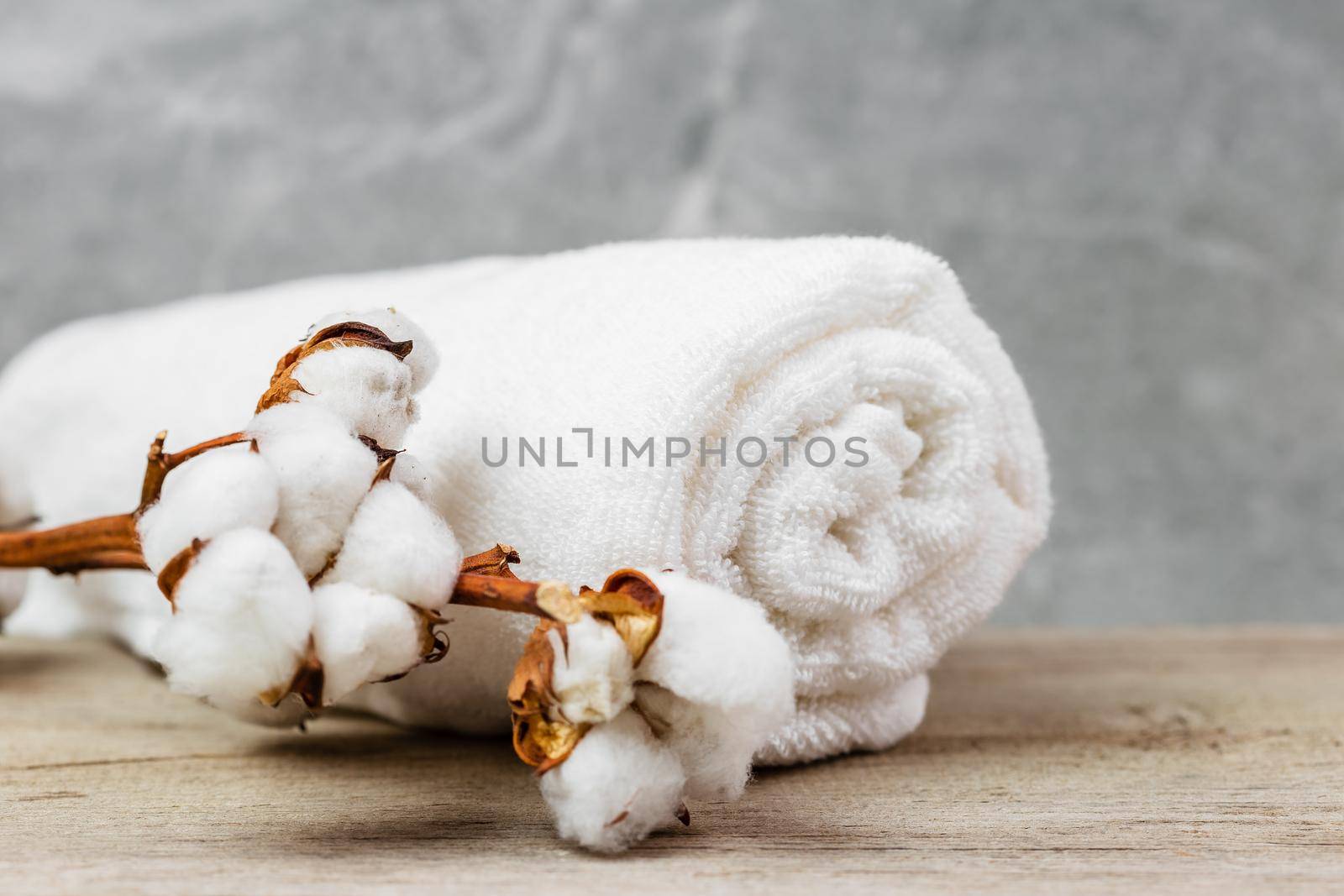 White cotton towel and cotton plant flower branch by Syvanych