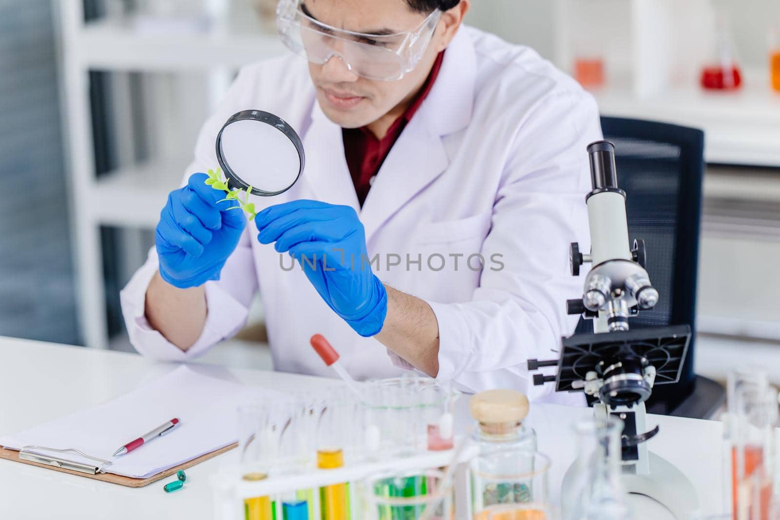 Scientist medical research at a Bio natural green plant in science lab using magnify glass.