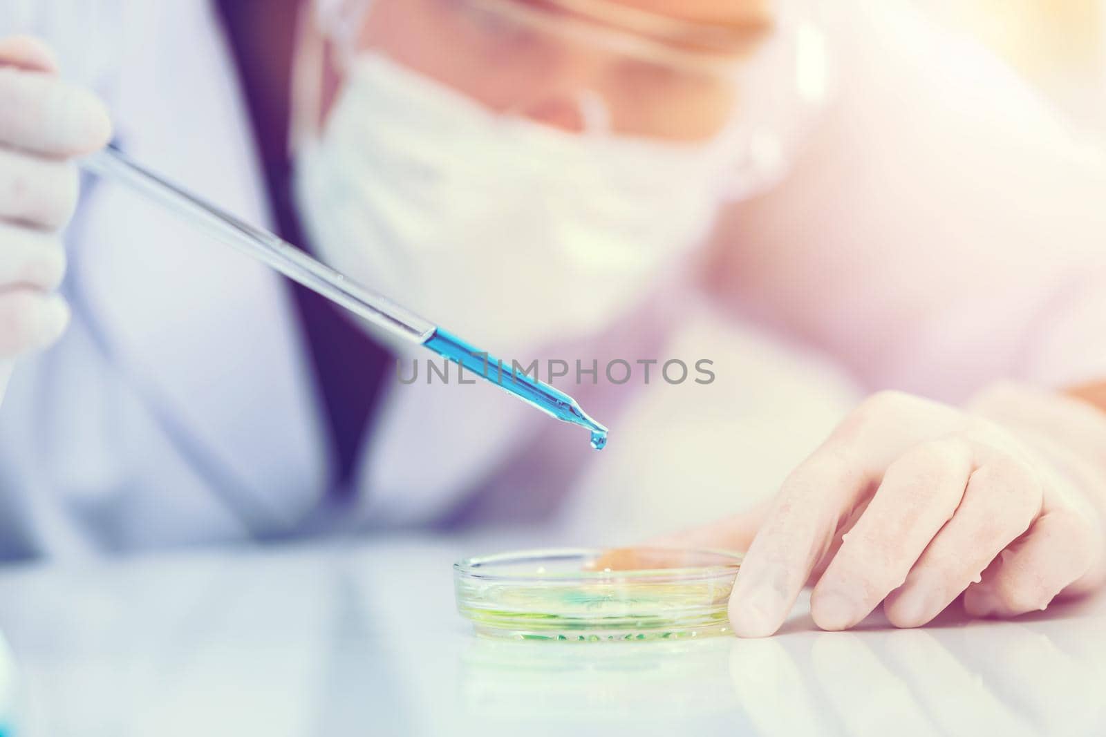 Scientist working experimental chemistry drop testing in glass petri dish science laboratory.