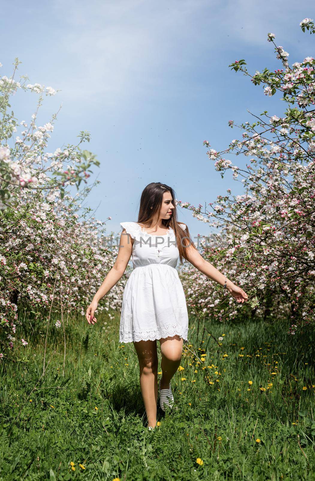 Spring concept. Nature. Young caucasian woman in white summer dress enjoying the flowering of an apple trees, walking in spring apple gardens