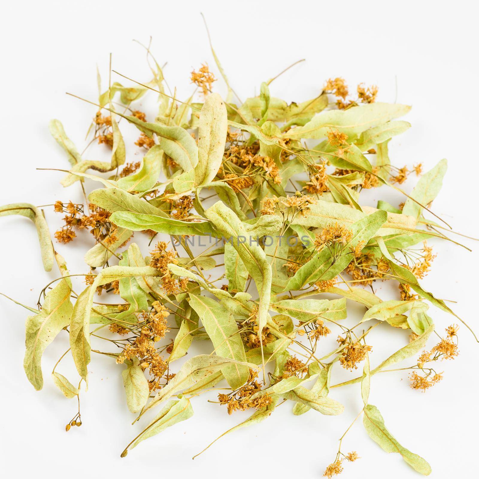Dried linden flowers. Alternative herbal medicine. Healthy tea ingredients 