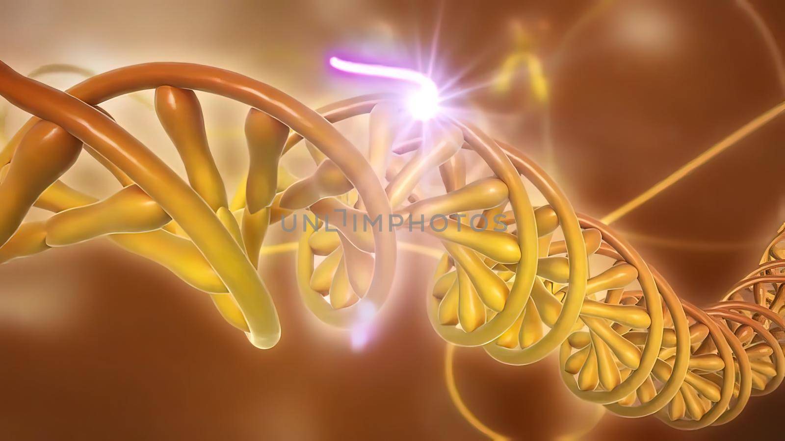 DNA or deoxyribonucleic acid by creativepic