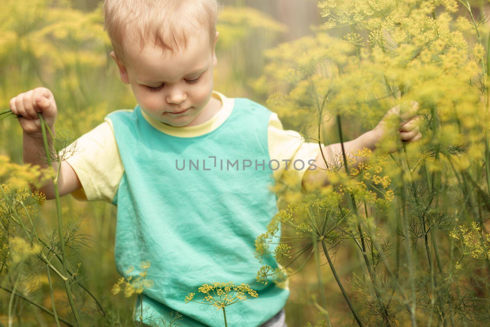 Grandson in grandma's garden during summer vacation, learns to explore nature.