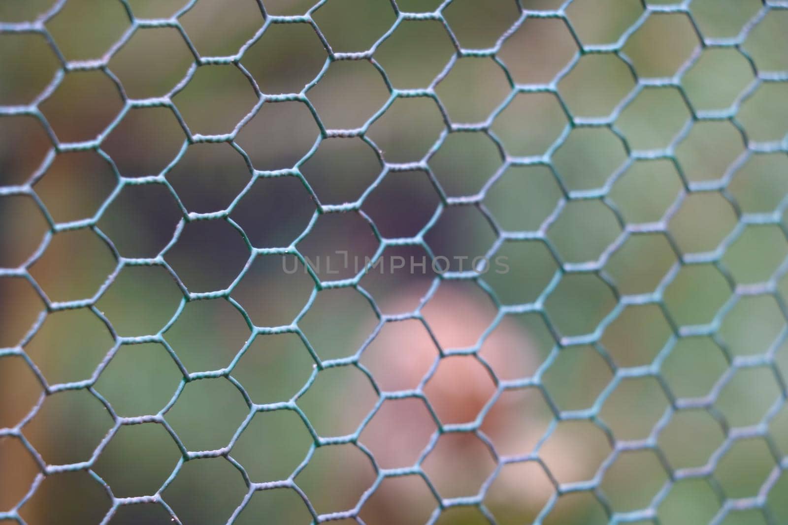 Close-up on a mesh fence or fencing. Out of focus