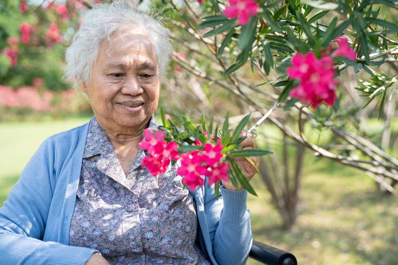 Asian senior or elderly old lady woman holding red flower, smile and happy in the sunny garden.