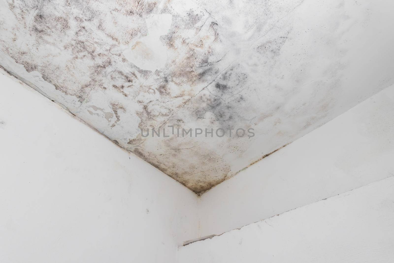 Water and mold stain on the home ceiling. Concept of condensation, damp, water infiltration, high humidity and respiratory problems.