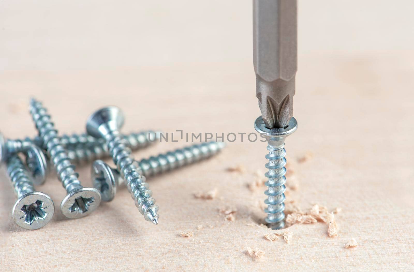 Screw the screw into the board. Furniture production, a screwdriver twists a self-tapping screw into a board. Several silver screws lie on the desktop.