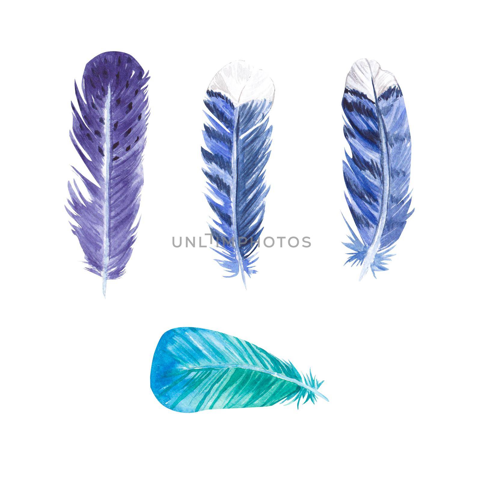 A set of watercolor bird feathers. Blue, blue, turquoise feathers. Illustration of the elements blue jay, tit on a white background. Suitable for postcards, design, packaging, textiles, printing. by NastyaChe