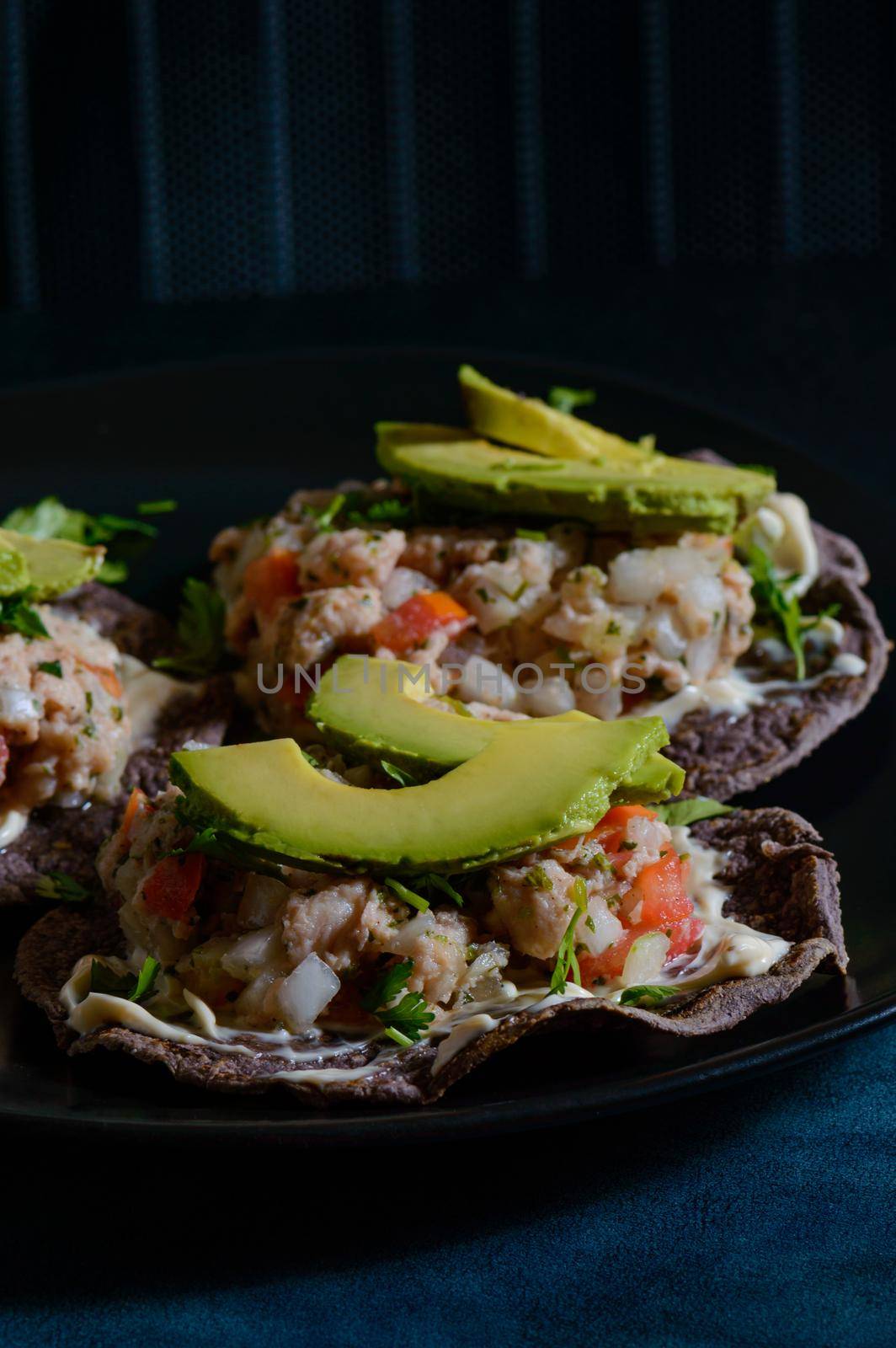 Fish Ceviche on Blue Corn Tostadas, Mexican Food by RobertPB