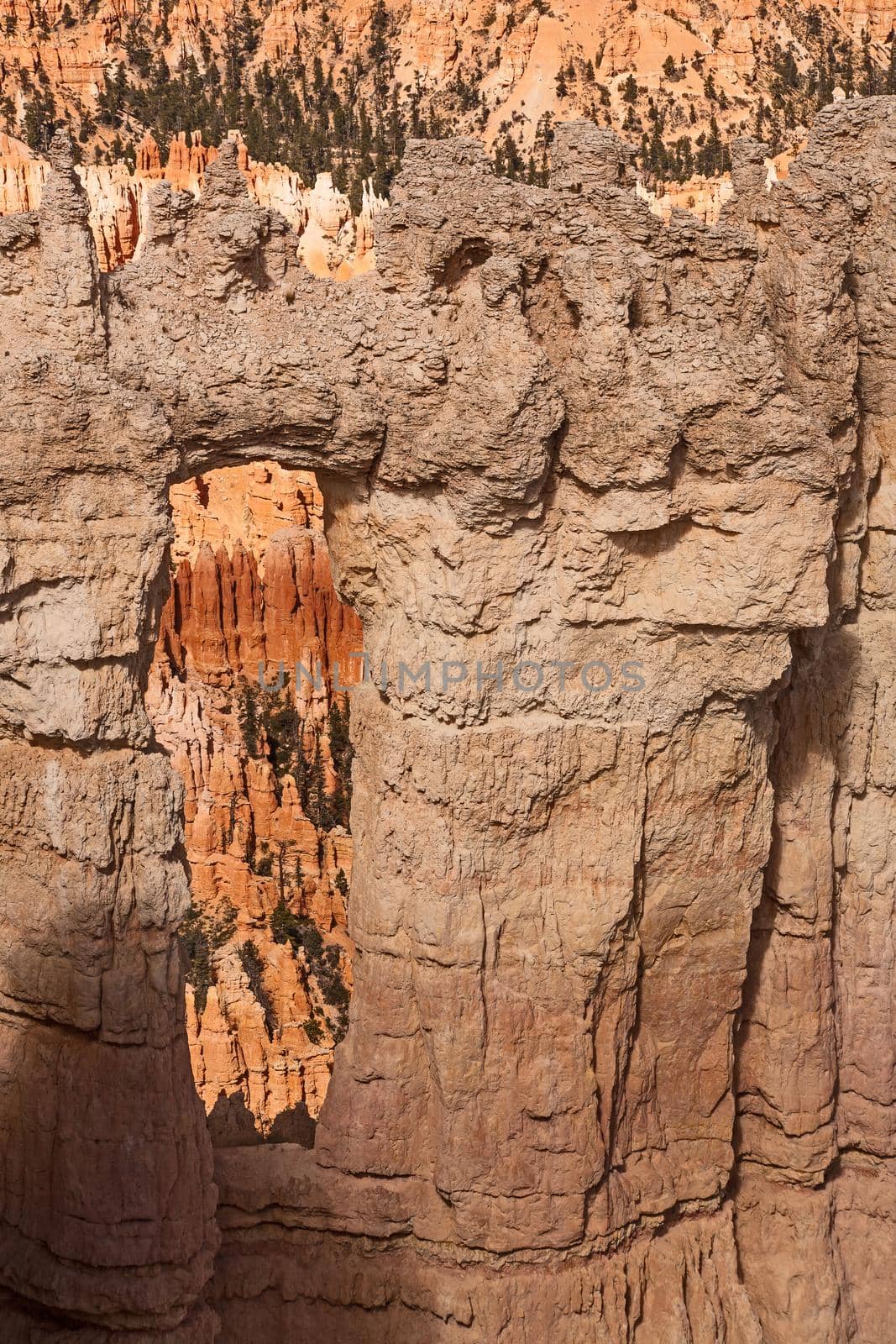 View over Bryce Canyon National Park Utah from the Rim Trail,