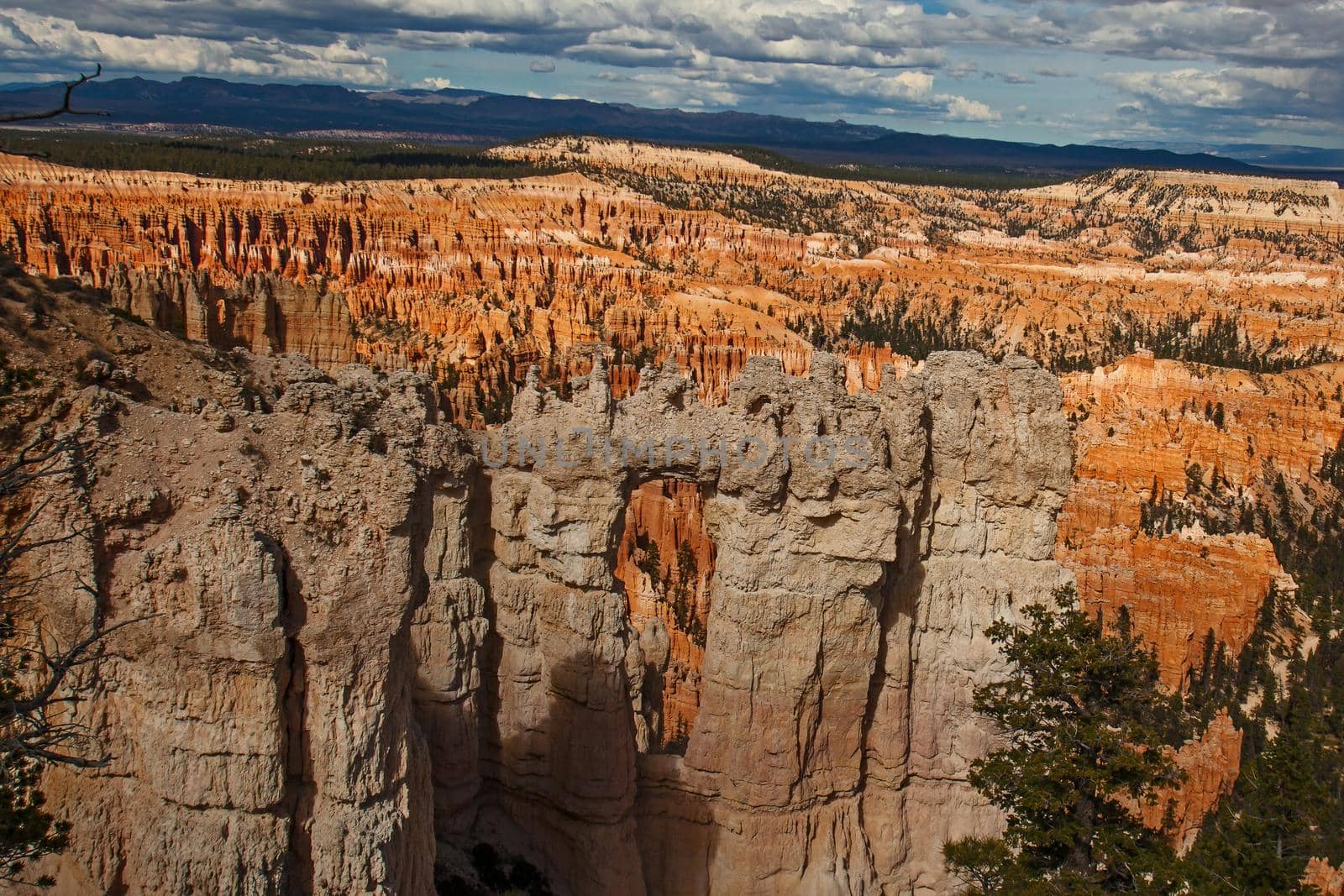 View over Bryce Canyon National Park Utah from the Rim Trail,